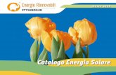 Catalogo Energie Rinnovabile Styleboiler