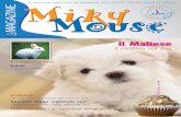 MikyMouse Magazine