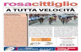 RosaCittiglio N. 6-2009