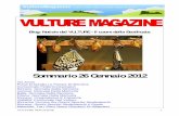 Vulture Magazine, 26 gennaio 2012