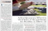 Marijuana libera La Stampa 14 1 14