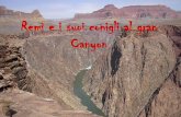 Remì e i suoi conigli al Grand Canyon
