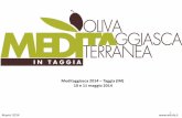 Report Meditaggiasca 2014