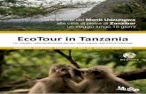 Ecotour in Tanzania 2013 2014