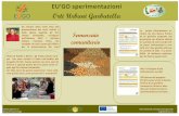 EU'GO sperimentazioni : Semenzaio Comunitario, Orti Urbani Garbatella