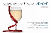 Cesenatico365 | Club Family