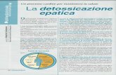 La detossicazione epatica - Fitness e Sport 2/2014 n.22