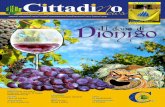 CittadinoNews n.6
