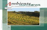 Veneto news