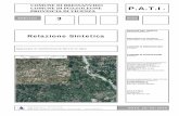 Elab_03_Relazione Sintetica PATI Bressanvido e Pozzoleone