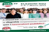 Volantini e pubblicazioni CISL FP Roma RSU 2012