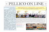 Pellico on line - maggio 2009