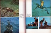 Il libro della pesca sub 1976 Toschi