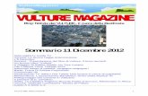 Vulture Magazine, 11 dicembre 2012