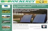 Bioenergy International Italia  no.2