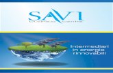 Savi Network