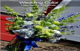 Wedding Color