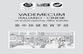 Vademecum italiano cinese educazione salute 2013