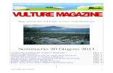 Vulture Magazine - 20 Giugno 2011