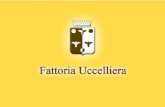 Brochure 2014 - By Fattoria Uccelliera - Fauglia - Pisa