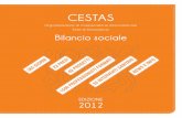 Bilancio sociale CESTAS - Edizione 2012