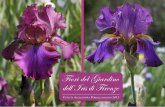 Fiori del Giardino dell'Iris di Firenze