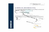 Rapporto Confartigianato Emilia-Romagna - Novembre 2009