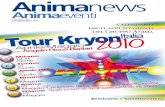 Anima News 37