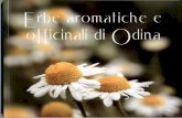 Erbe aromatiche e officinali di Odina
