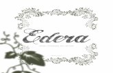 Linea EDERA - La Stil Sedia