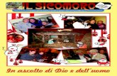 Il Sicomoro - 3/2011