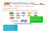 Fantacalcio news 22