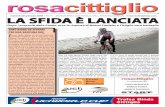 RosaCittiglio N. 4-2009