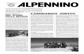 Alpennino 2011 n 4