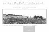 Giorgio Pegoli. Viaggio in Puglia con Mario Giacomelli