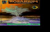 Rosarium 2000-02