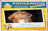 Fidoamico News n°4