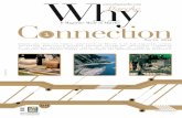 Why Connection n.1
