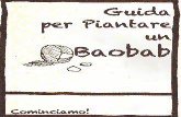 Guida per piantare dei semi di Baobab
