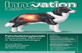 Innovation in Veterinary Medicine - 2(14) - marzo 2013