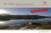 Moesano - offerte speciali estate 2013