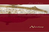 Nervilamp 2011 catalogue