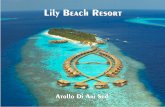 Catalogo Maldive - 3&4 - Lily Beach Resort