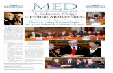 MedNews n.12/2010