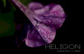 Heligon | ultra fast lens