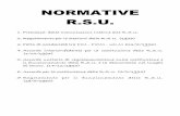 Normative RSU