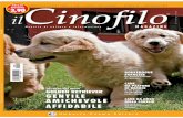 il cinofilo magazine 4
