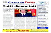 Casertafocus n15