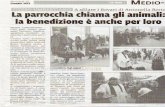 Articolo quotidiano "La Voce di Rovigo" 18 Gennaio 2012