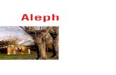 Aleph - mostra collettiva
